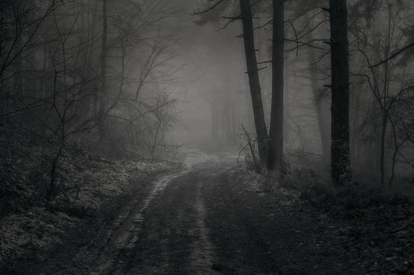 Silent Hill 2 (2001) — vijfentwintig jaar later
