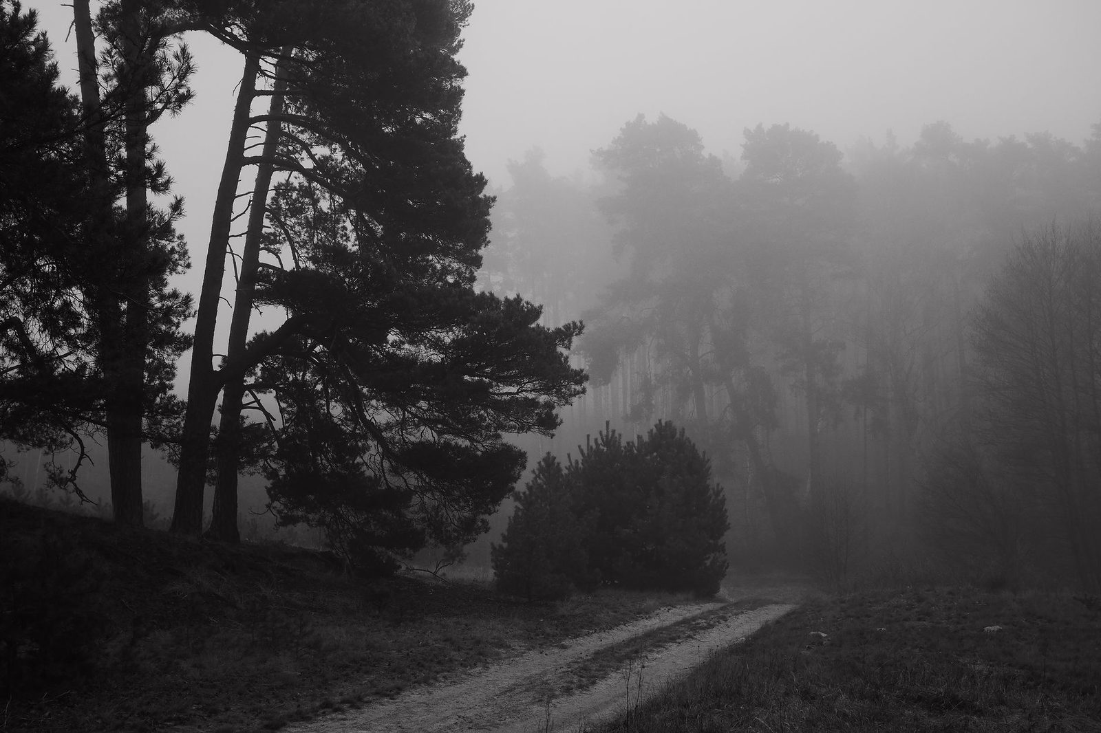 Horror